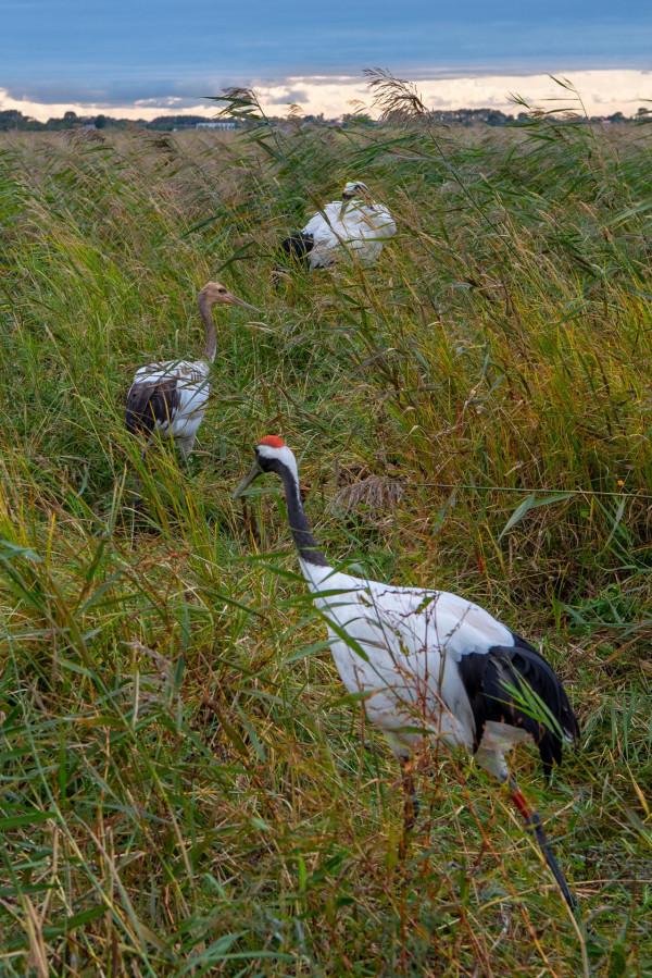 老許路書:遊遍黑龍江,美景一網打盡,13個地市一個不能少 老許路書:遊遍黑龍江,美景一網打盡,13個地市一個不能少
