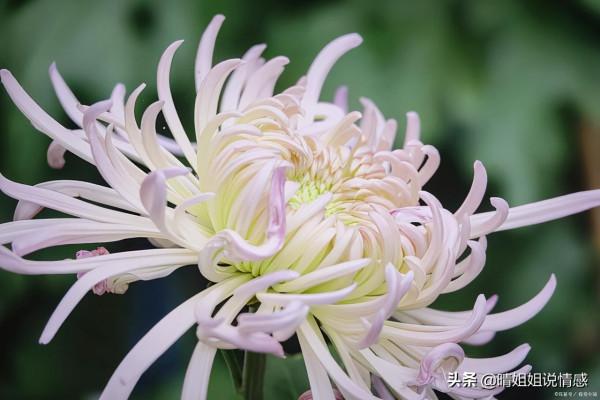 離別，就是為了下一次的相聚