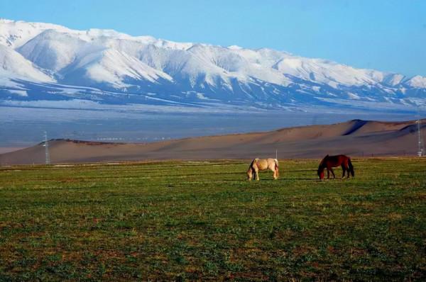 巴里坤：這座荒涼得只剩金礦的縣，如今已成遊客熱門打卡地
