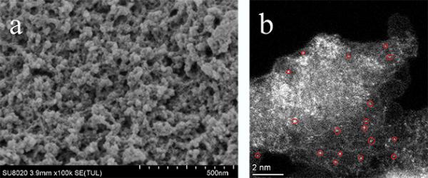 仿生催化氧化研究獲進展 仿生催化氧化研究獲進展