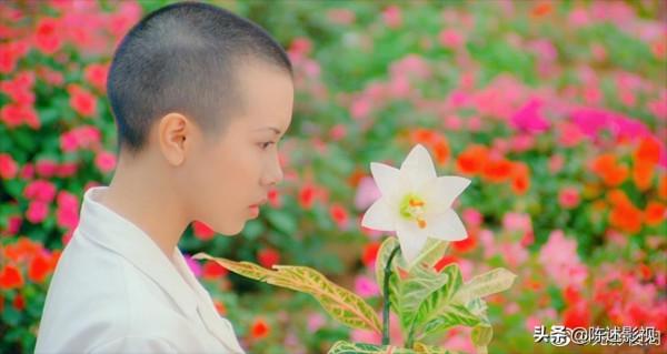 不願剃頭就別拿高片酬，讓這6位女星告訴你，什麼叫“為戲剃頭”