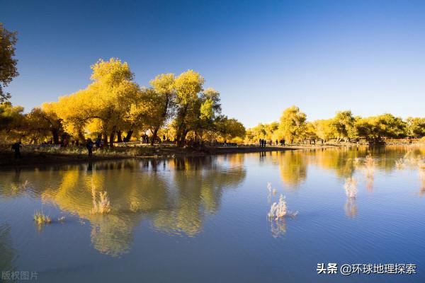 阿拉善盟，在哪裡？中國駱駝之鄉