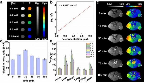 新發癌症數，中國居全球第一！上海科學家取得腫瘤診療新進展，引發國際關注！