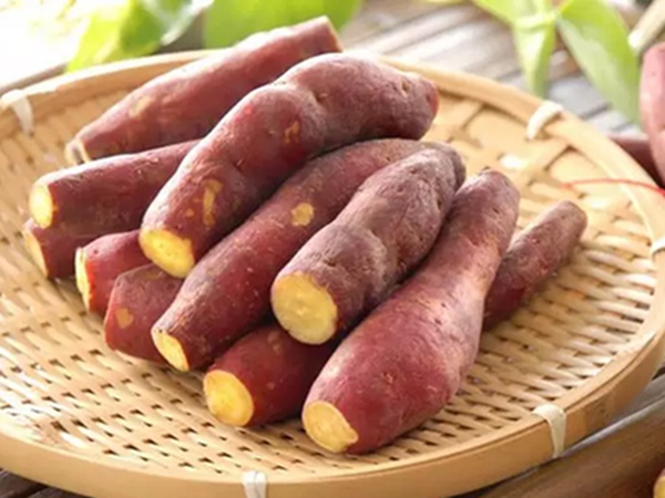 趕緊改掉這幾種習慣,睡前大量飲酒不利於睡眠 趕緊改掉這幾種習慣,睡前大量飲酒不利於睡眠