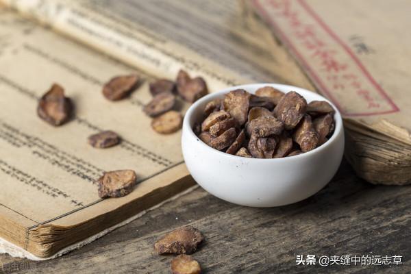 膽囊炎，膽結石？送你八味中藥，辛開苦降，祛邪排濁