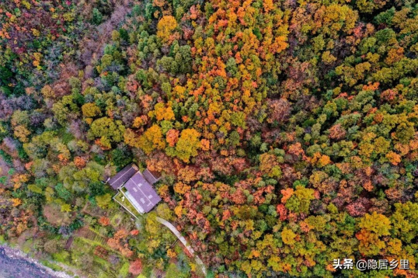 秦嶺紅葉房開售 | 一座座山間小屋，藏著秦嶺最美的秋