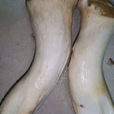 無油炸杏鮑菇(減脂版) 無油炸杏鮑菇(減脂版)