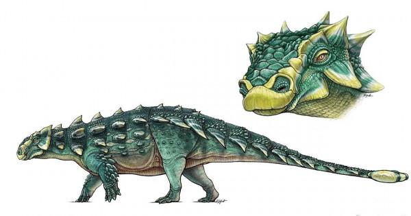 “脛骨毀滅者”,殘暴的名字,有趣的龍 “脛骨毀滅者”,殘暴的名字,有趣的龍