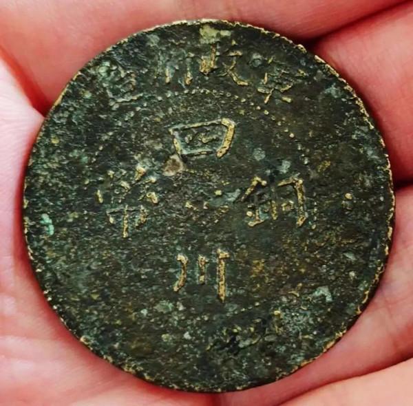 弧廿漢雛菊花50sc7012