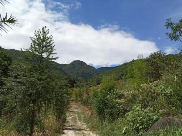 山野鄉間遊蕩（之五）仙水巖記（1）走錯路了