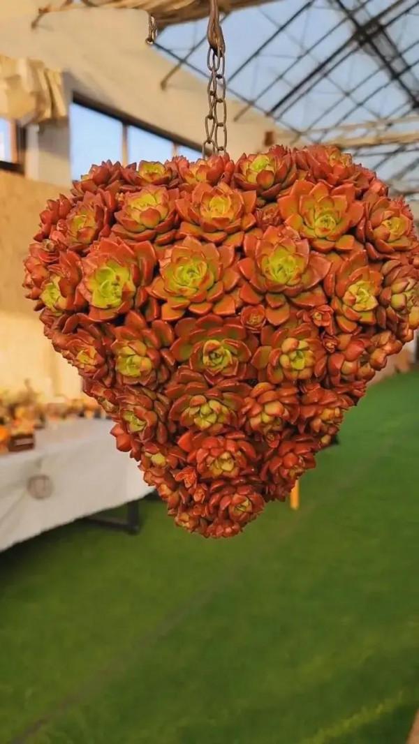 分享圖片，可愛的多肉們，收藏了