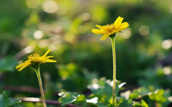 每個人都要有點興趣愛好 每個人都要有點興趣愛好