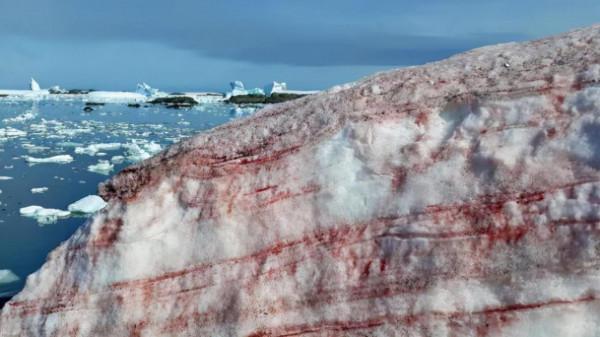 南極裂開大口子,1520億噸淡水注入大海!危機還在後面? 南極裂開大口子,1520億噸淡水注入大海!危機還在後面?