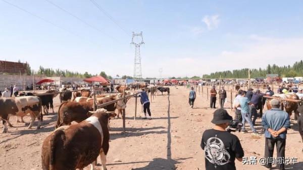 獨庫公路遊古城！新疆自駕攻略（下）