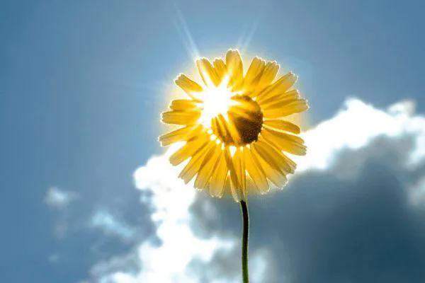 往往運氣很好的這5種人,其中有你嗎? 往往運氣很好的這5種人,其中有你嗎?