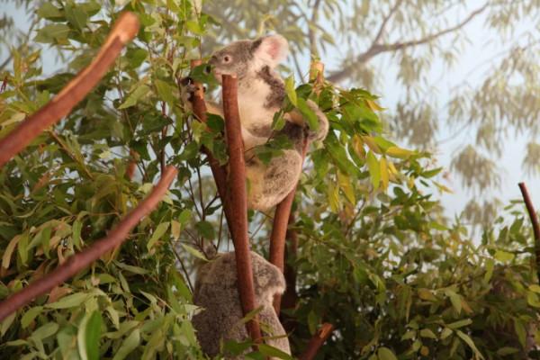 10年深度+豪華遊玩60國