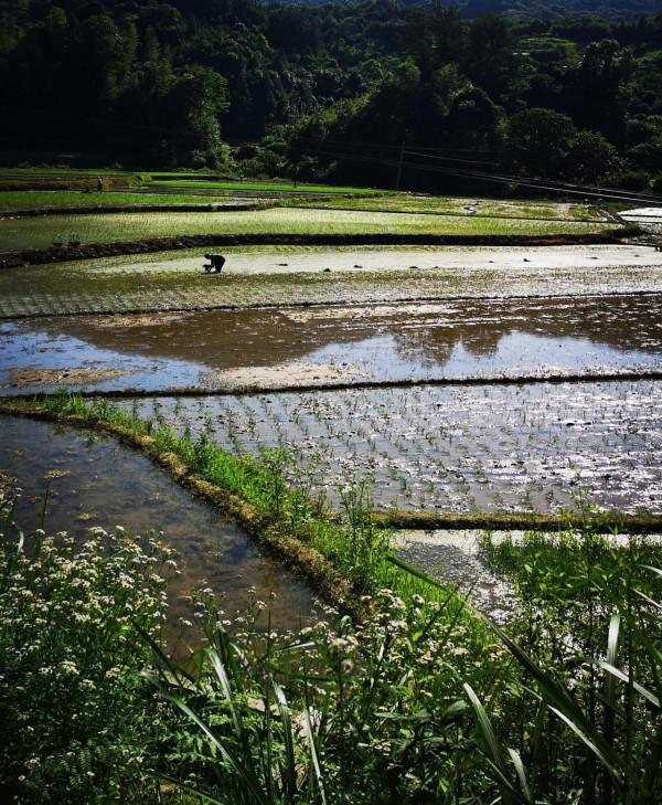 陳寅恪故里的風景(2021/06/05-07) 陳寅恪故里的風景(2021/06/05-07)