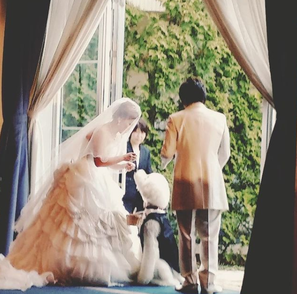 日本奶奶分享小孫女和三隻大狗狗的日常，治癒了56萬+網友…