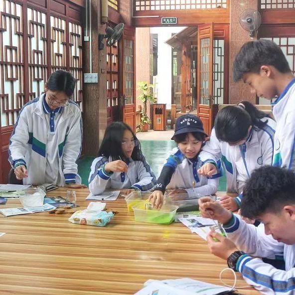 黑豹帶你去旅行啊 黑豹帶你去旅行啊