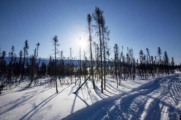 有關黑龍江省的二十二個冷知識，你知道多少個？