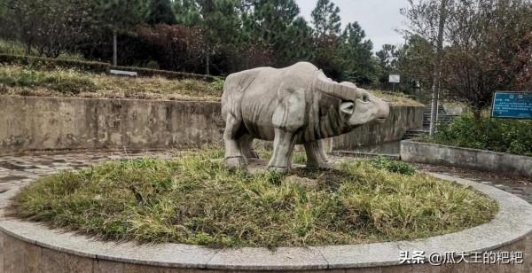 由原來墳區改建的水牛山公園