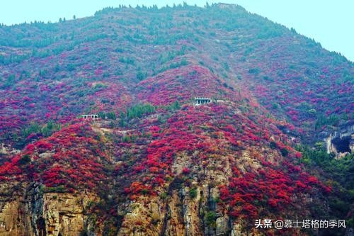 中國最美的10個紅葉景區,每一個都美到極致,你去過幾個? 中國最美的10個紅葉景區,每一個都美到極致,你去過幾個?