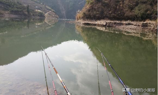 俗話說”釣鯉魚靠守,釣草魚靠勤”,透過對比,帶你走出釣魚誤區 俗話說”釣鯉魚靠守,釣草魚靠勤”,透過對比,帶你走出釣魚誤區