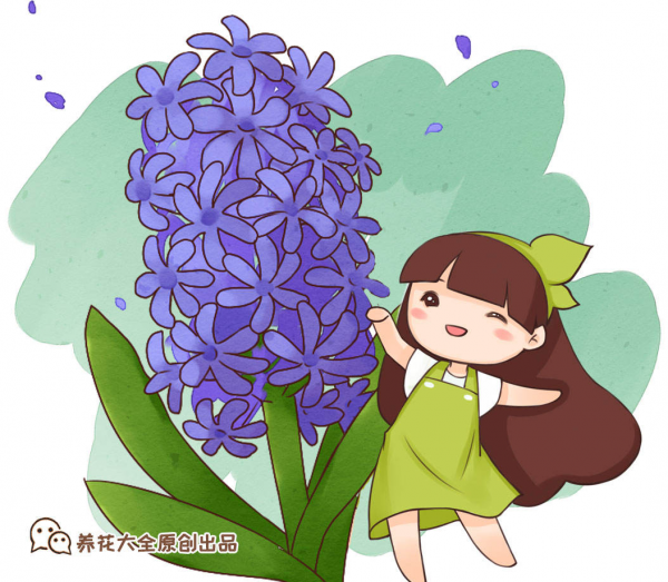 4種花適合短時間養殖，開敗了就扔掉，別心疼