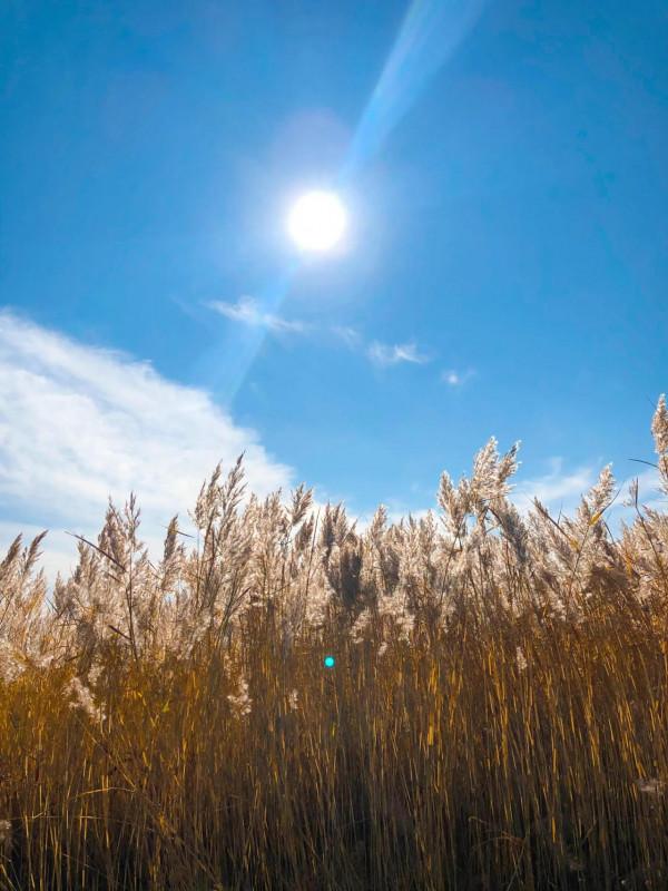 遊內蒙古的世界文化遺產-“元上都遺址”，覽清朝皇家寺院-匯宗寺
