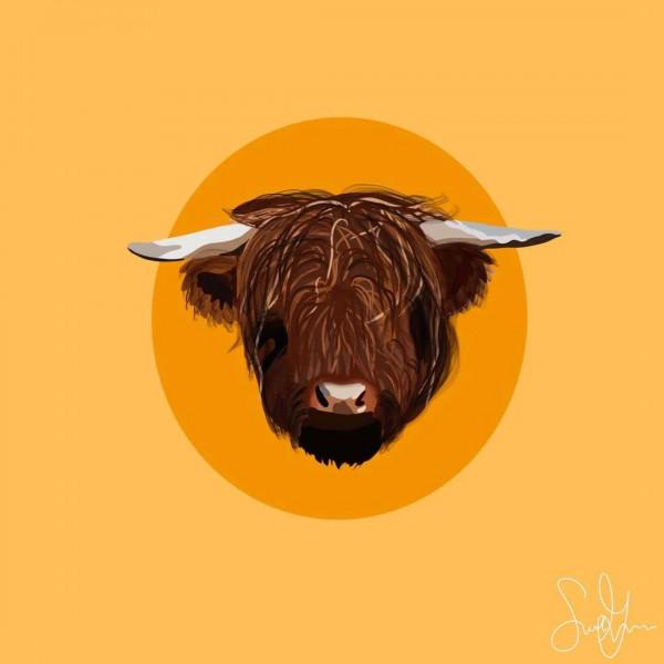 關於牛,全都是好看的 關於牛,全都是好看的