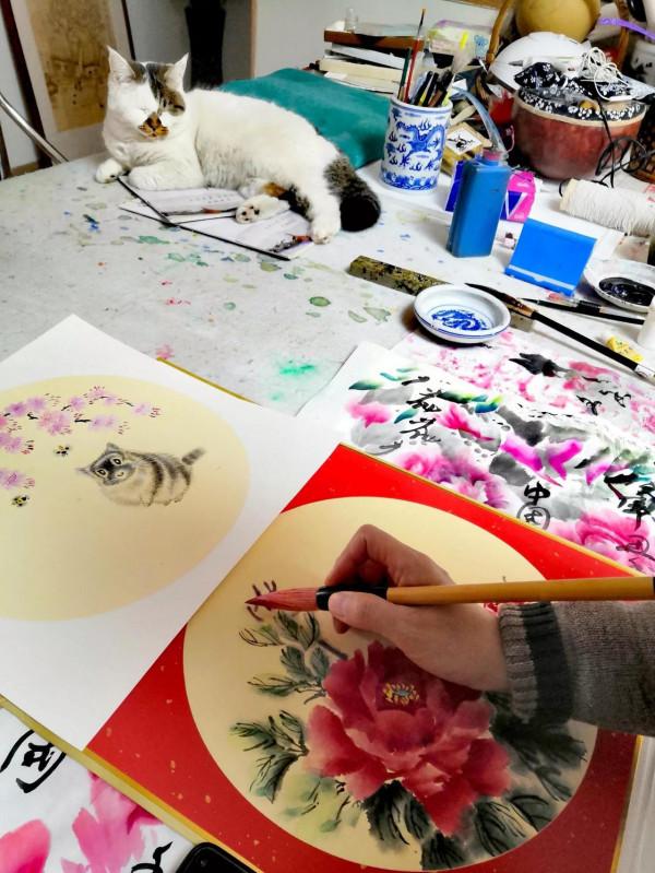 喵喵,你也配叫貓科動物 喵喵,你也配叫貓科動物