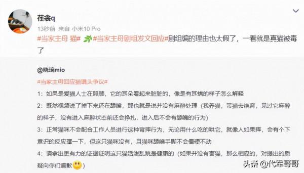 《當家主母》小白貓慘死,劇組發聲明回應,網友為何卻不認同? 《當家主母》小白貓慘死,劇組發聲明回應,網友為何卻不認同?