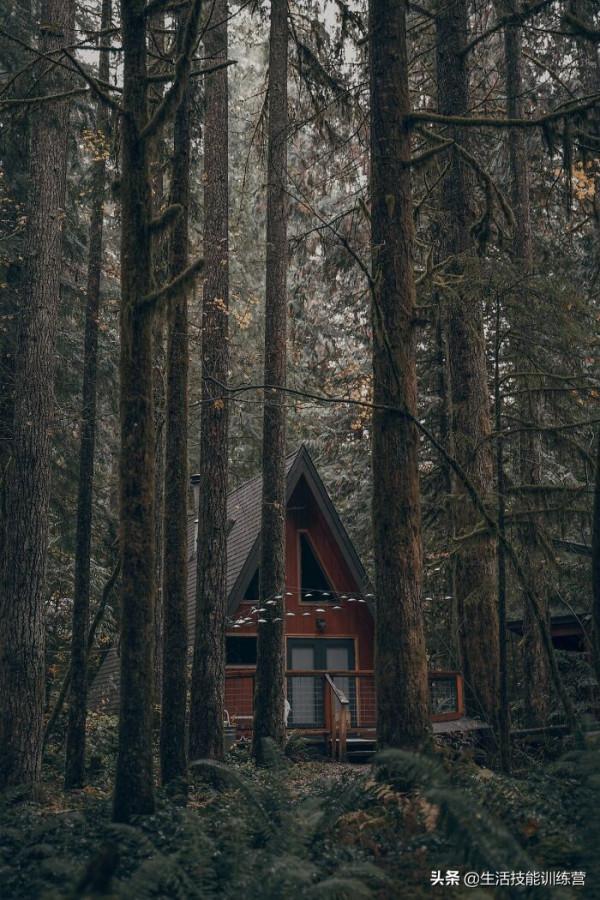 世界上最適合避世 50 間美麗小屋