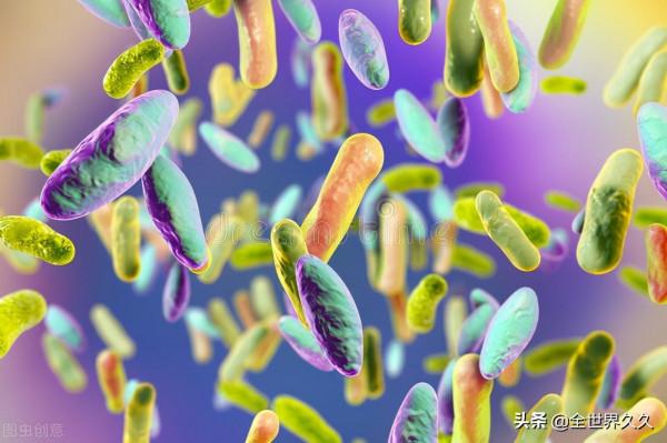 膳食纖維的減肥原理是什麼？