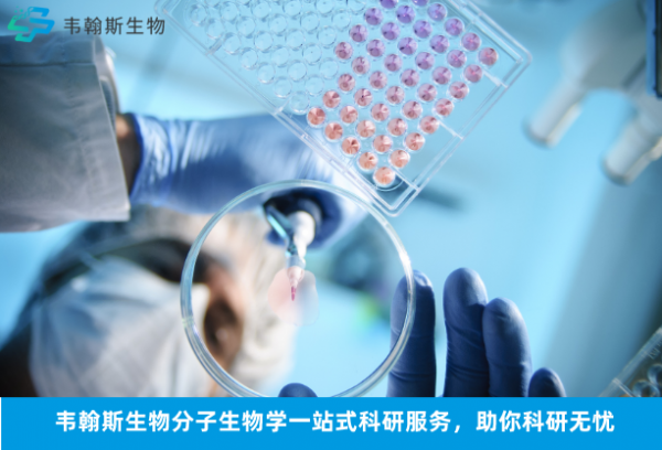 韋翰斯生物分子生物學一站式科研服務，助你科研無憂