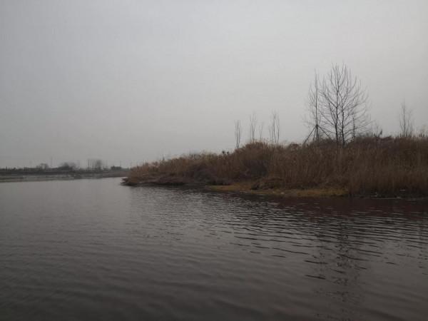 野釣選擇釣點，有一個通用規律，就是找兩種狀態的“結合處”