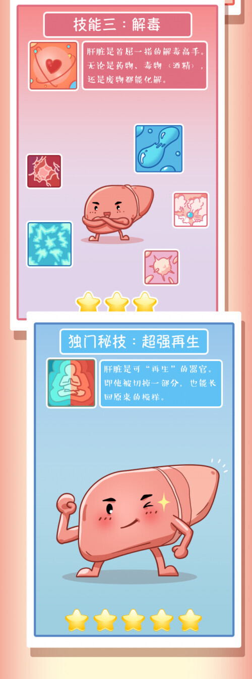 肝臟受傷全過程