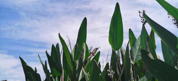 蹲下你的身體，與孩子說話