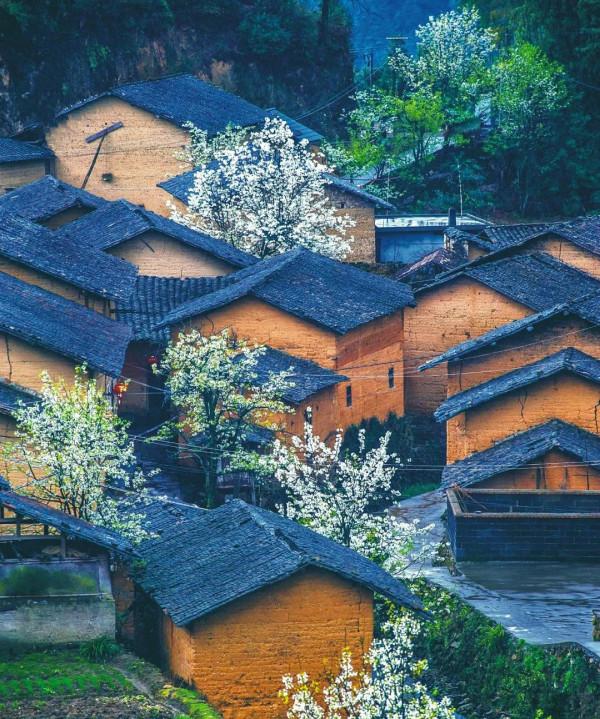 是不是坑,踩過才知道!深藏在浙裡的好去處,有一個共同點 是不是坑,踩過才知道!深藏在浙裡的好去處,有一個共同點