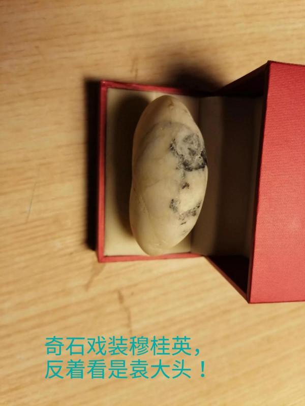 奇石戲裝穆桂英／袁大頭