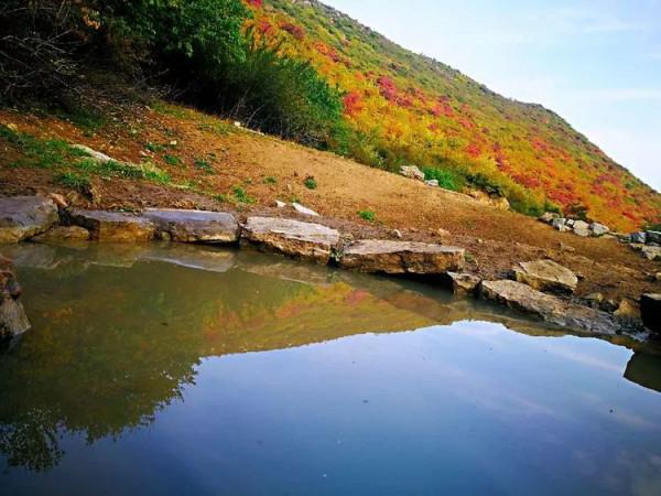 太行山最美的秋色在這裡