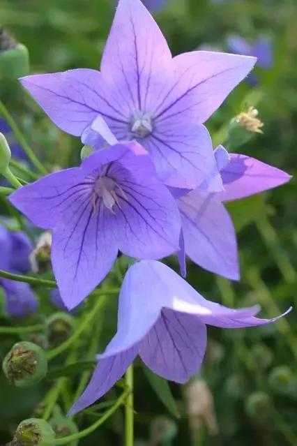 《老人言》總結出的精典