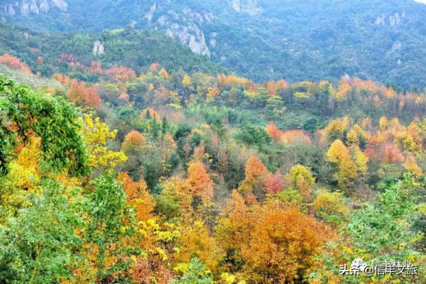 絕美冬景上線！這處色彩繽紛的地質公園，紅楓怪石看不完，每一眼都是驚豔！