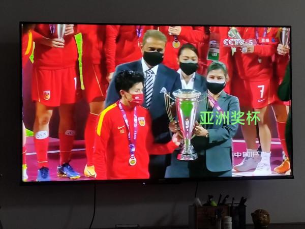 鏗鏘玫瑰 頑強綻放