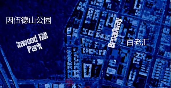 史前動物廣翅鱟：專吃海洋“浮屍”，4億年前最先登陸地面的動物