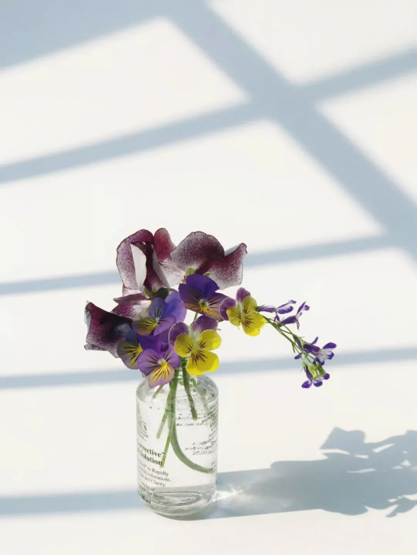 護膚品空瓶不要扔!動手改改,家裡一整個變香氛花園 護膚品空瓶不要扔!動手改改,家裡一整個變香氛花園