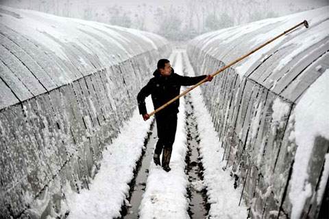 冬季果園怎麼維護?安徽省果園冬季管理技術指導意見釋出 冬季果園怎麼維護?安徽省果園冬季管理技術指導意見釋出