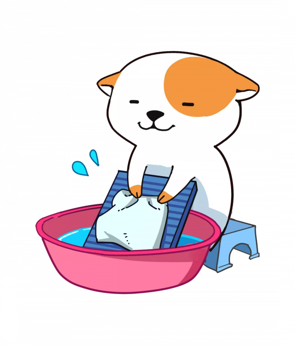 消毒液有沒有必要用？洗衣機的細菌是不是真的那麼可怕？