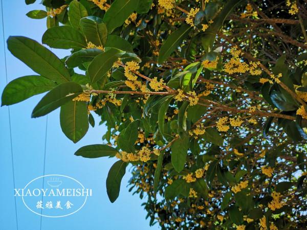 蒸螃蟹，用冷水還是熱水？差別挺大，弄錯了，難怪蟹黃流腳掉一鍋