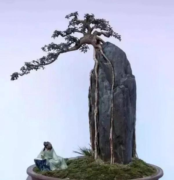 奇石盆景，別具一格